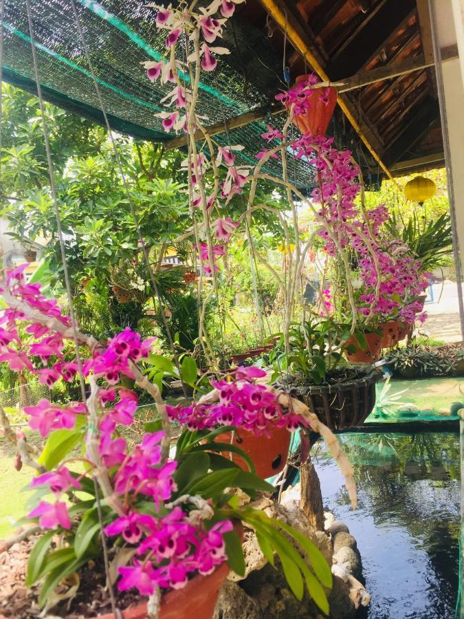 Do River Homestay Hoi An Luaran gambar