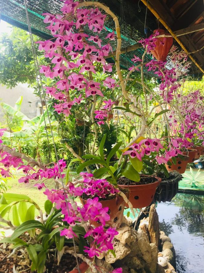 Do River Homestay Hoi An Luaran gambar