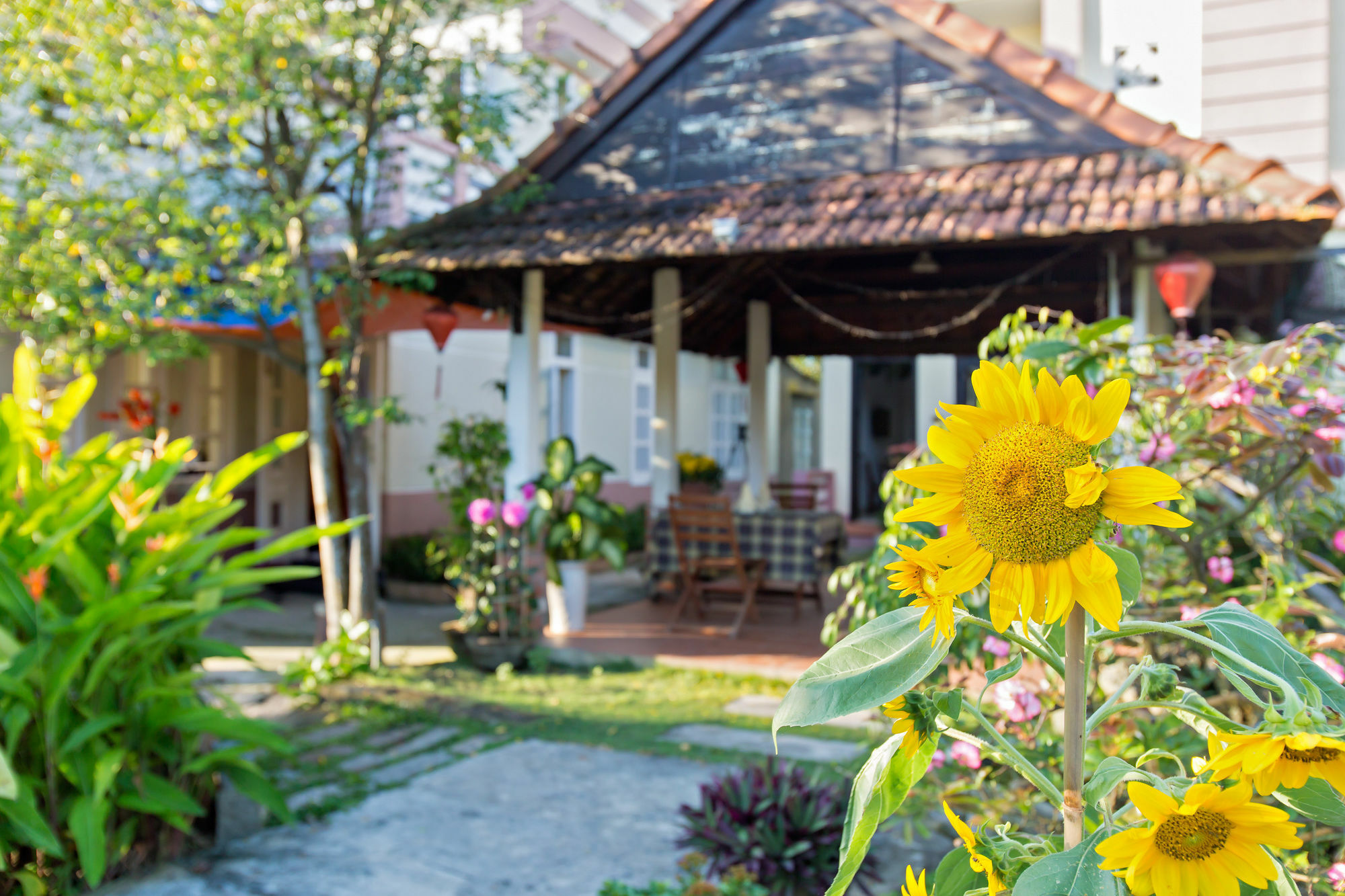 Do River Homestay Hoi An Luaran gambar